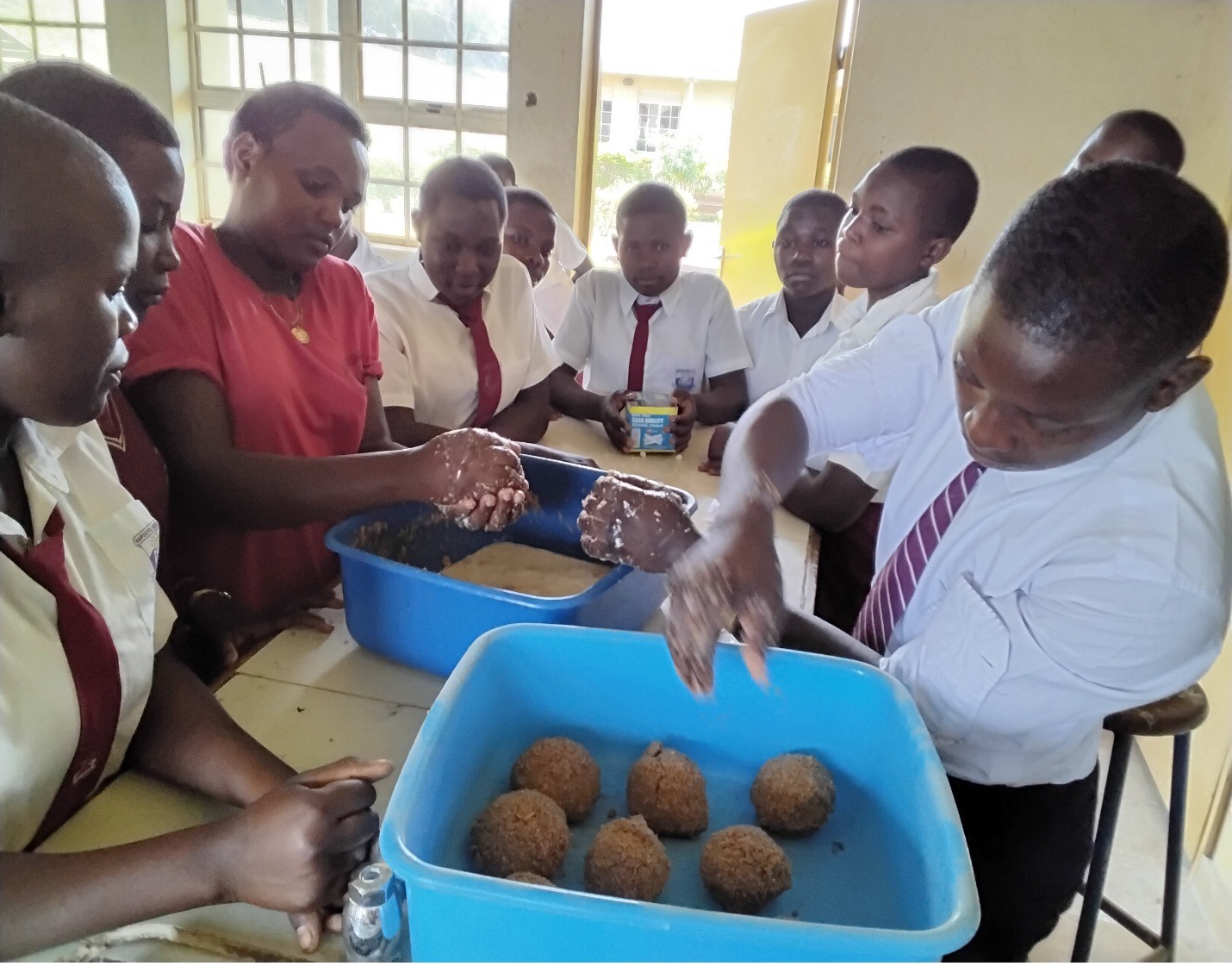 Vegetable gardens in schools